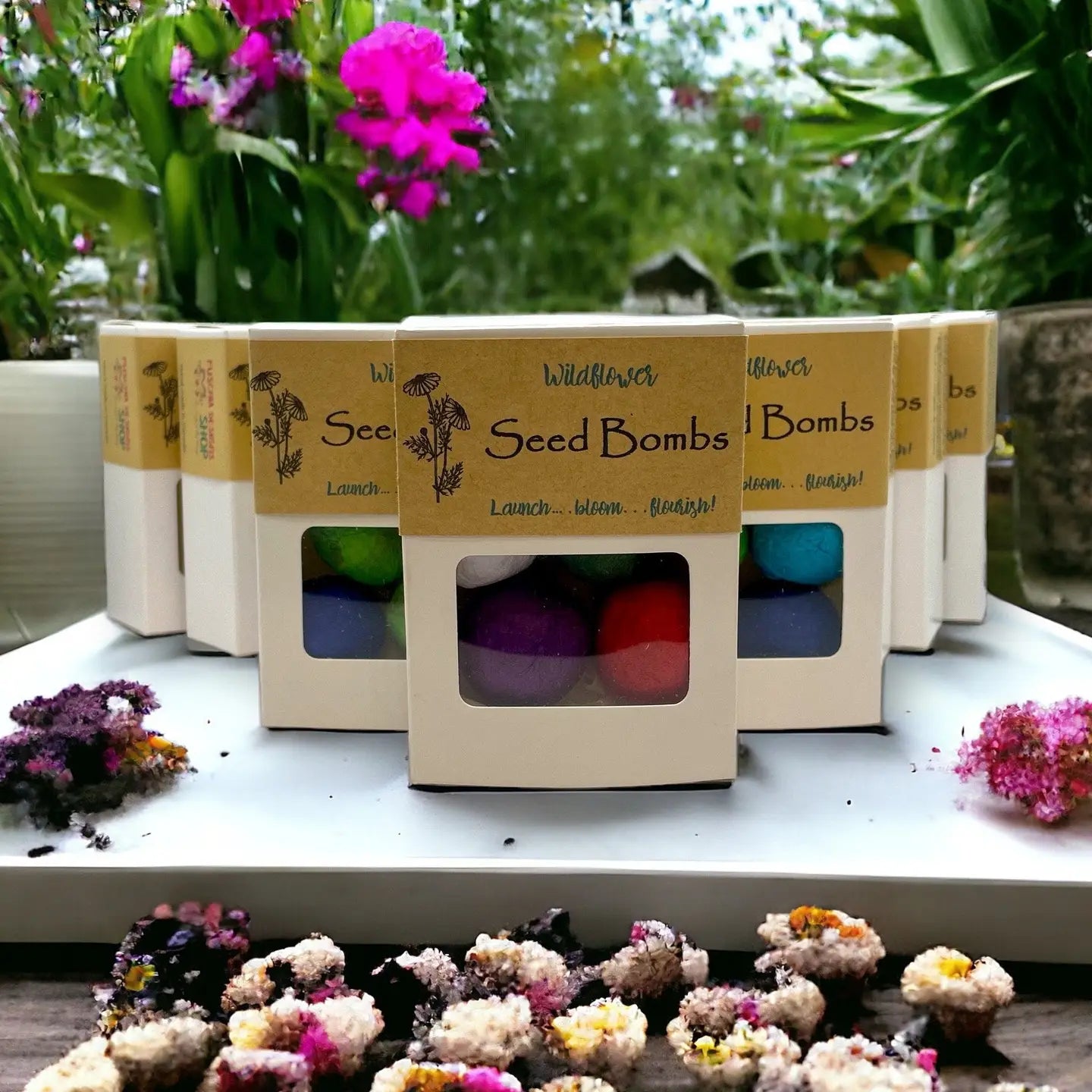 Seed Bombs - 6 Pack - Canadian Wildflower