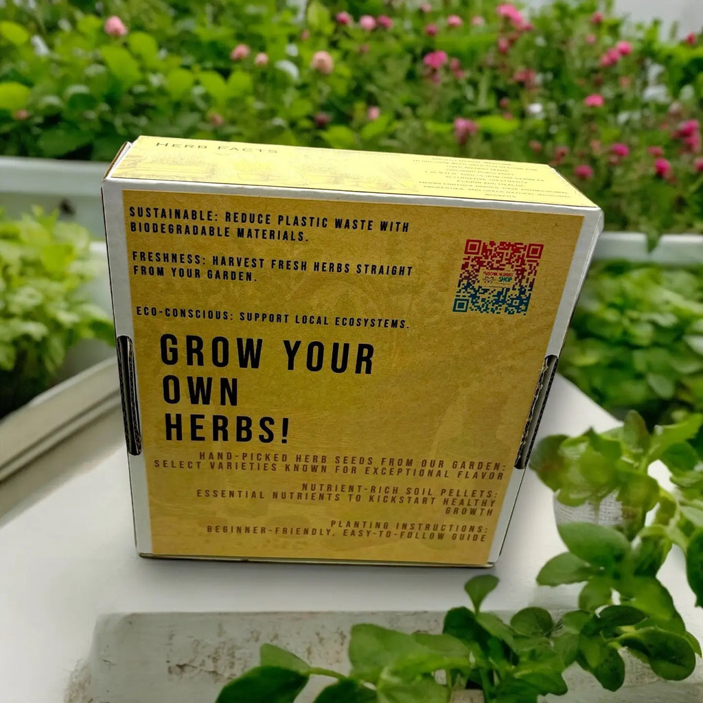 Indoor Herb Garden Starter Kit with Parsley, Chives, and Dill Seeds