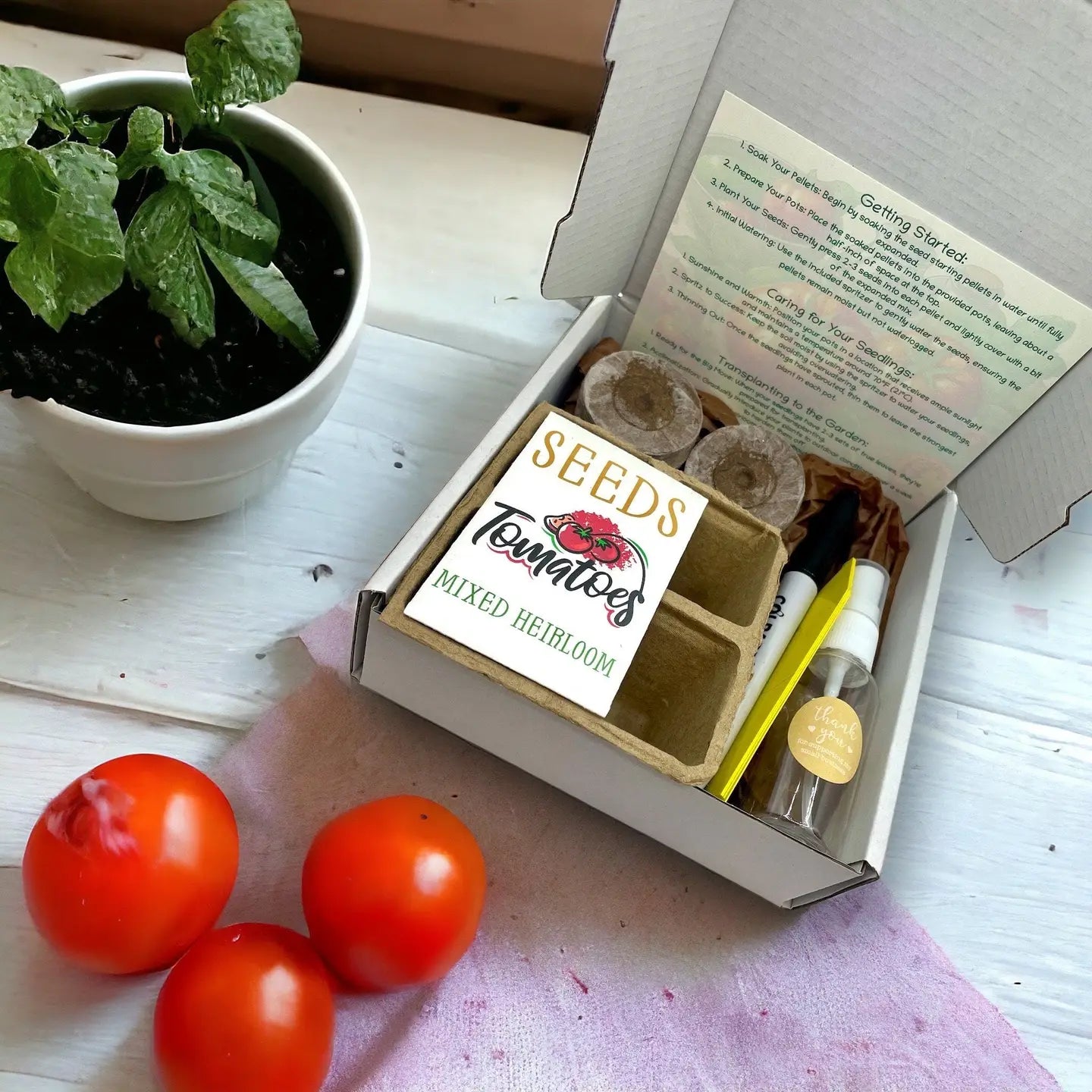 Heirloom Tomato Starter Kit: Grow Your Own Heritage Tomatoes
